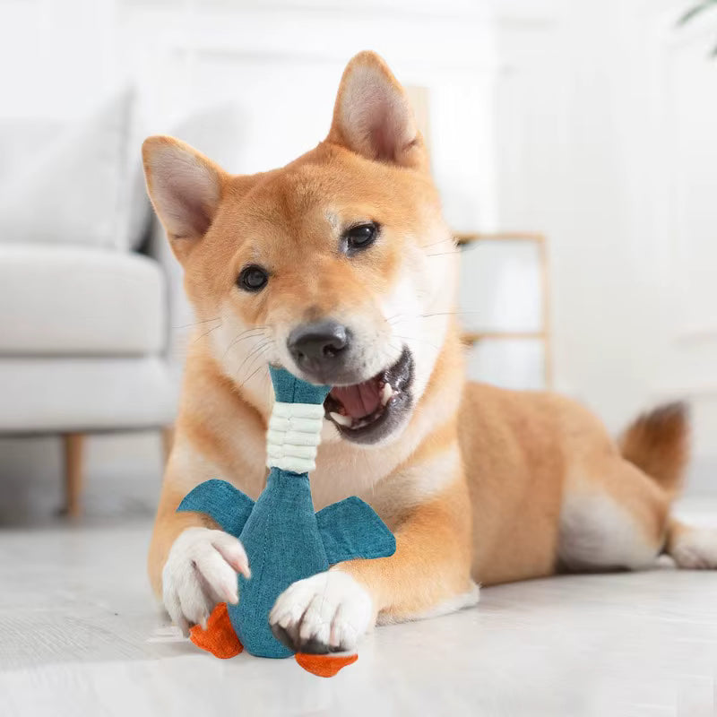 Stuffed Duck Toy