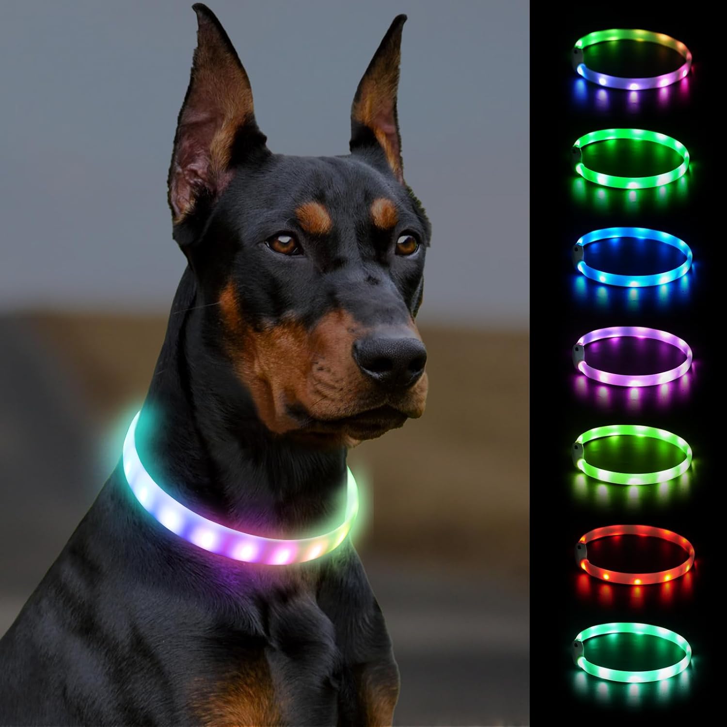 LED Pet Collar